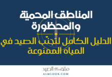 صورة بارزة للمقال 4512