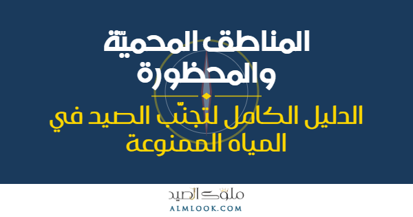 صورة بارزة للمقال 4512