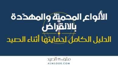 صورة بارزة للمقال 4513