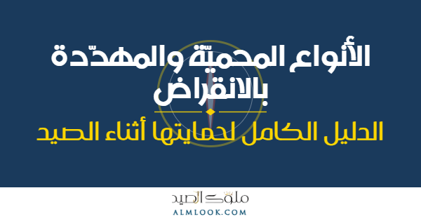 صورة بارزة للمقال 4513