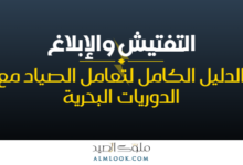 صورة بارزة للمقال 4514