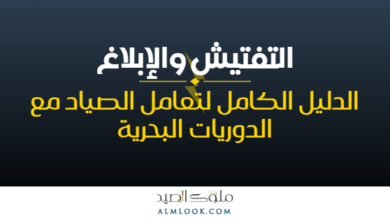 صورة بارزة للمقال 4514