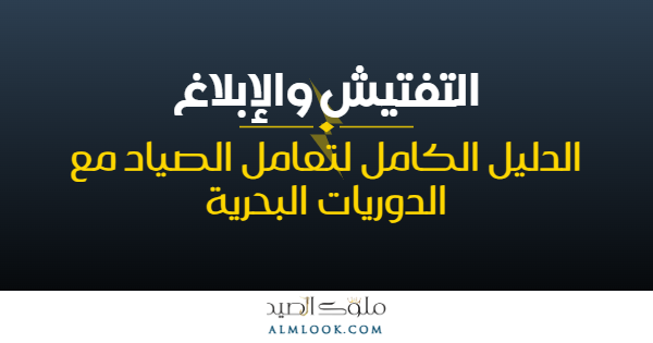 صورة بارزة للمقال 4514