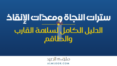 صورة بارزة للمقال 4515