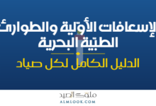 صورة بارزة للمقال 4516