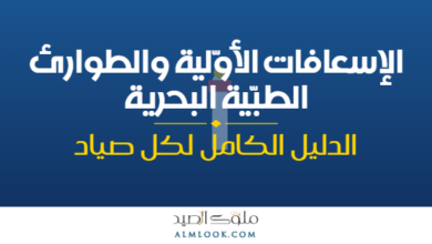 صورة بارزة للمقال 4516