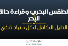 صورة بارزة للمقال 4517