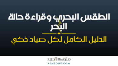 صورة بارزة للمقال 4517