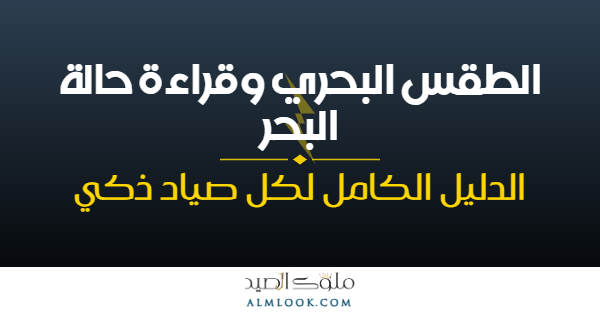 صورة بارزة للمقال 4517